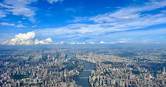 域名查询注册原则有哪些网站