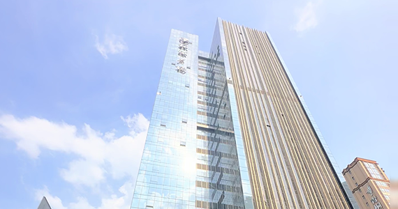 网站域名管理查询