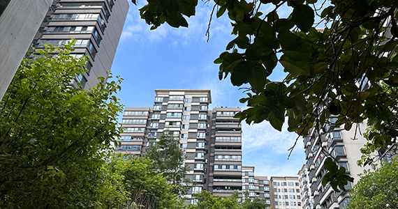 国外网站域名查询