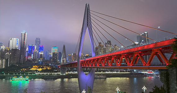 域名注册服务机构查询网站官网