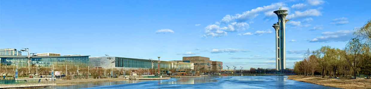 网站域名查询网